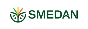 Small and Medium Enterprises Development Agency of Nigeria (SMEDAN)